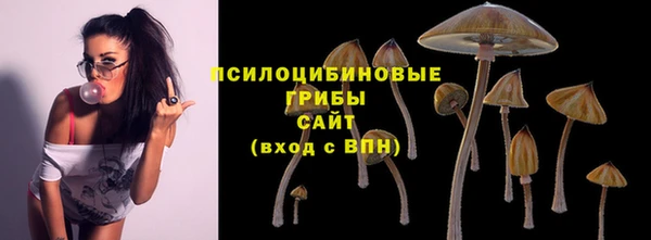 трава Заволжье