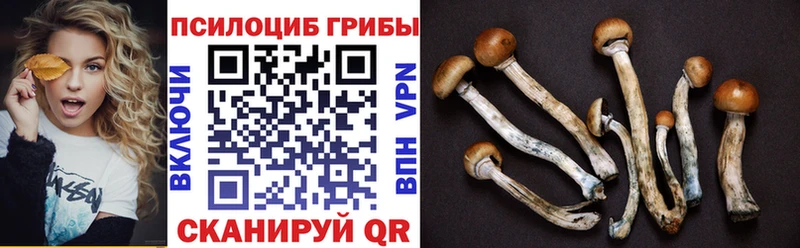 Галлюциногенные грибы прущие грибы  Катайск 